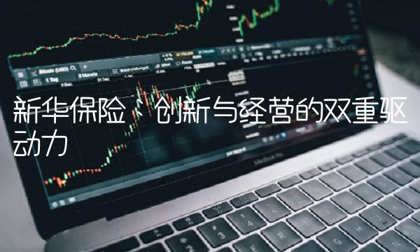 新华保险：创新与经营的双重驱动力