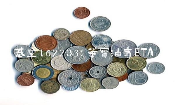 基金162203：华宝油气ETA