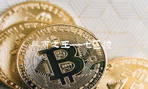 股市之王——七匹狼