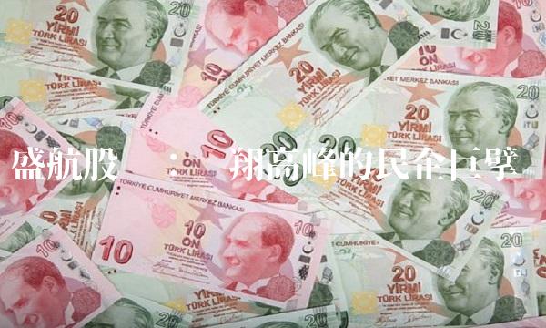 盛航股份：飞翔高峰的民企巨擘