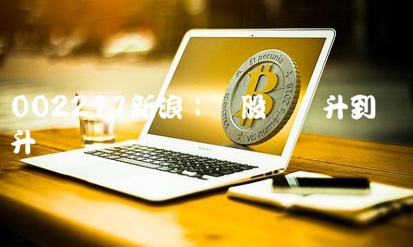 002211新浪：从股价飙升到产业升级