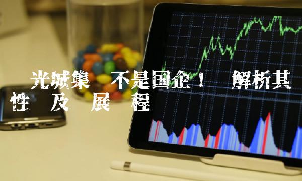 阳光城集团不是国企！——解析其性质及发展历程
