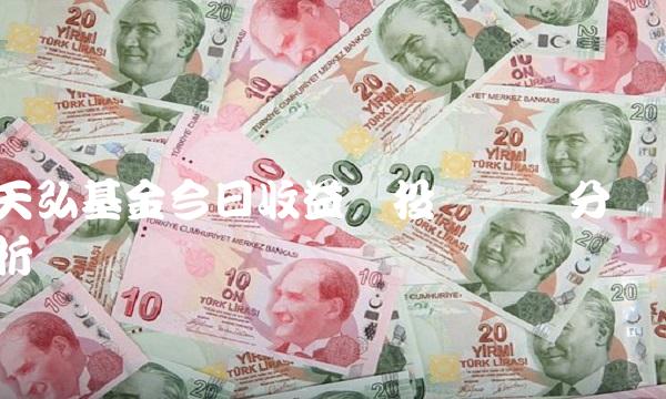 天弘基金今日收益与投资风险分析