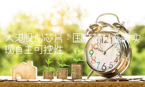 大港股份芯片：国产芯片亟需实现自主可控性