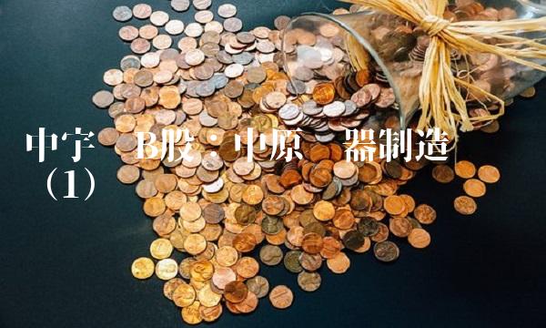 中宇达B股：中原电器制造业龙头（1）