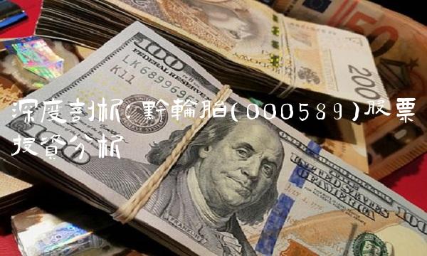 深度剖析：黔轮胎（000589）股票投资分析