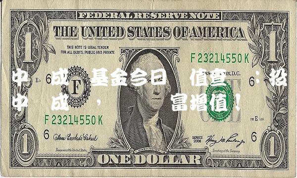 中邮成长基金今日净值查询：投资中邮成长，实现财富增值！