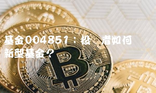 基金004851：投资者如何选择创新型基金？