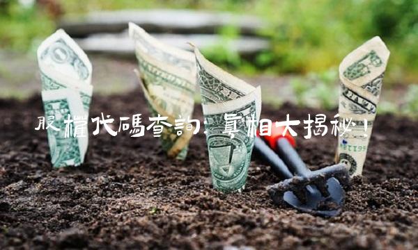 股权代码查询：真相大揭秘！