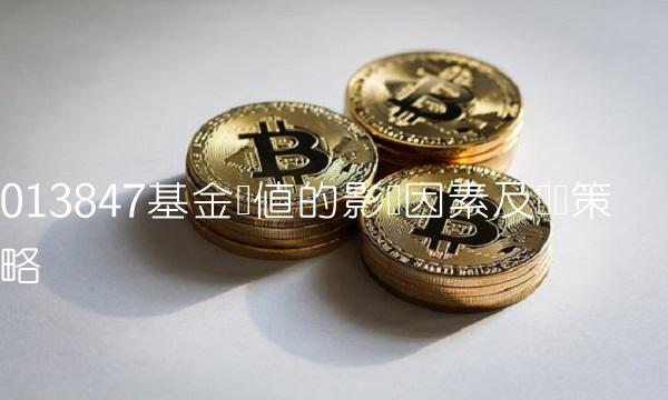 013847基金净值的影响因素及应对策略