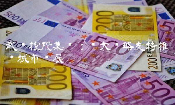 武汉控股集团：强大战略支持推动城市发展