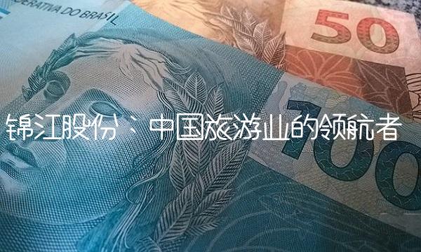 锦江股份：中国旅游业的领航者