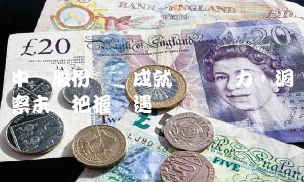 中来股份——成就体现实力，洞察未来把握机遇