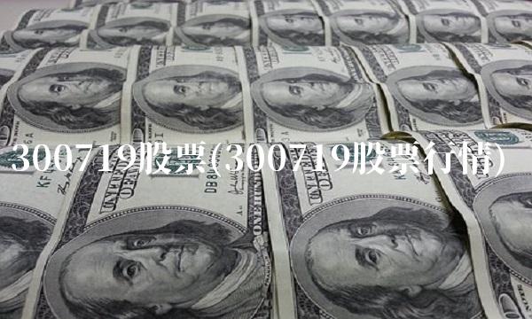 300719股票(300719股票行情)(1)