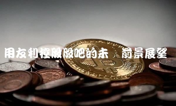 用友利控股股吧的未来前景展望