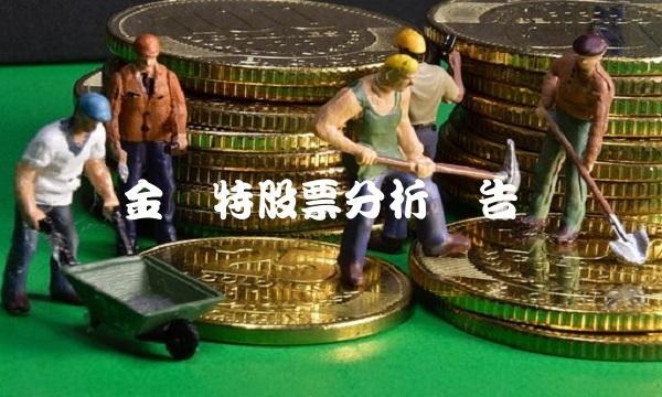 金莱特股票分析报告(2)