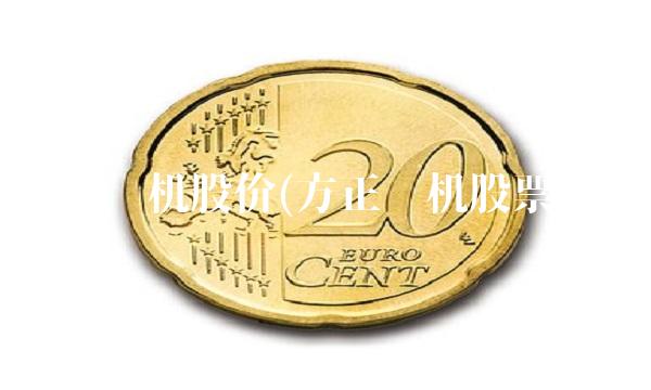 方正电机股价(方正电机股票股)