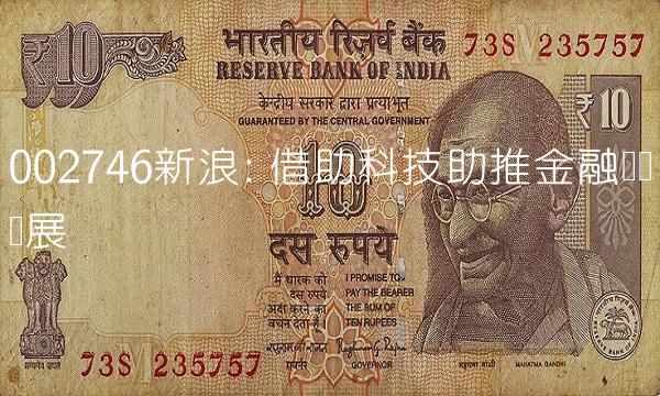 002746新浪 借助科技助推金融产业发展