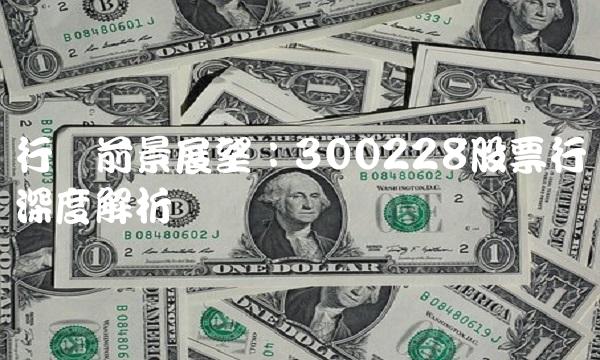 行业前景展望：300228股票行业深度解析