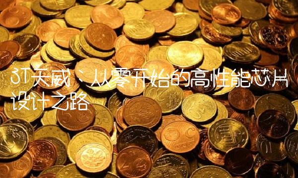 ST天威：从零开始的高性能芯片设计之路