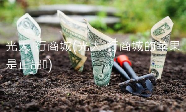 光大银行商城(光大银行商城的苹果是正品吗)