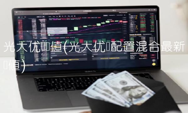 光大优势净值(光大优势配置混合最新净值)