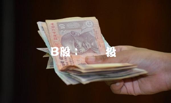 龙电B股：热门投资选择