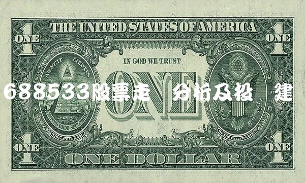688533股票走势分析及投资建议