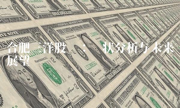 合肥三洋股吧：现状分析与未来展望