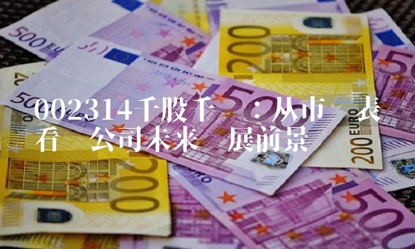 002314千股千评：从市场表现看该公司未来发展前景
