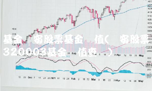 基金诺安股票基金净值(诺安股票320003基金净值查询)