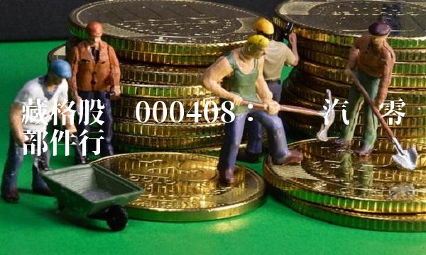 藏格股份000408：领军汽车零部件行业