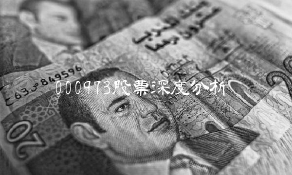000973股票深度分析