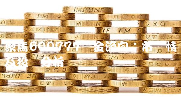 聚焦600777资金流向：市场情况及投资分析