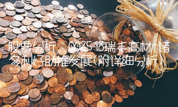 股票分析：002518瑞丰高材-诸多利好助推发展(附详细分析)