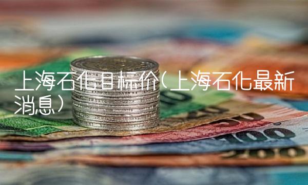 上海石化目标价(上海石化最新消息)