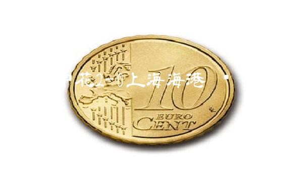 上海申花2-0上海海港 专业比赛分析