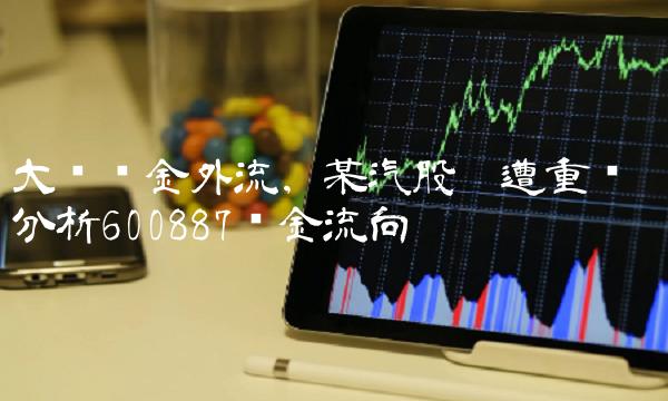 大盘资金外流，某汽股份遭重创——分析600887资金流向