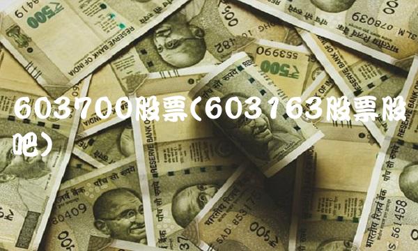 603700股票(603163股票股吧)
