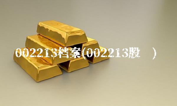 002213档案(002213股吧)