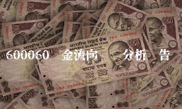600060资金流向调查分析报告