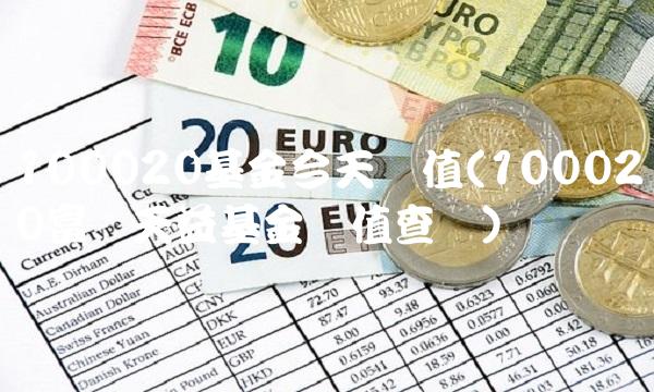 100020基金今天净值(100020富国天益基金净值查询)