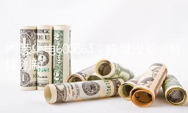 内蒙华电600863：稳健增长，持续创新