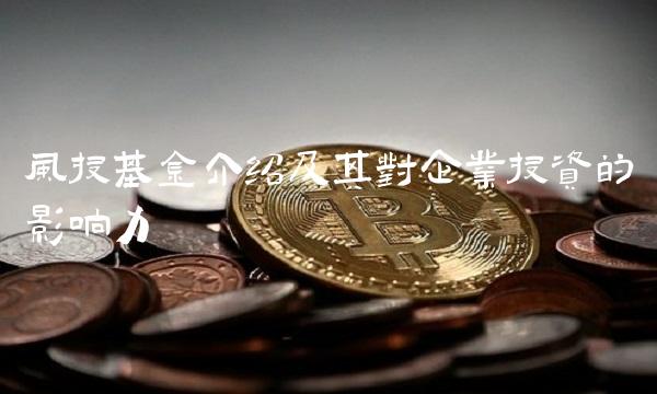风投基金介绍及其对企业投资的影响力