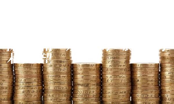 探析西南证券公司的发展历程与未来展望