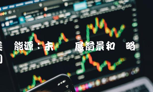 美锦能源：未来发展前景和战略规划
