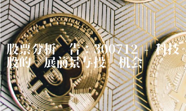 股票分析报告：300712 - 科技股的发展前景与投资机会