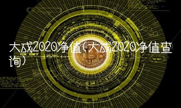 大成2020净值(大成2020净值查询)