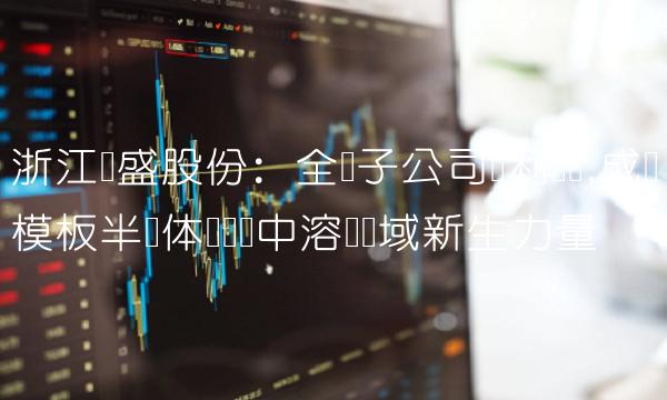 浙江龙盛股份：全资子公司顺利过会,成为模板半导体产业链中溶剂领域新生力量