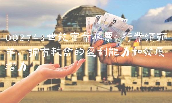 002748世龙实业股票：行业领头羊，拥有较高的盈利能力和发展潜力